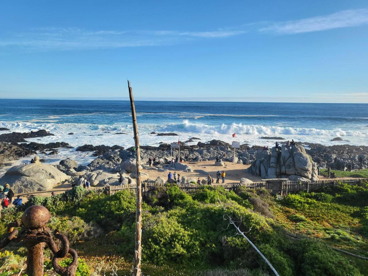 Tiny House * Isla Negra