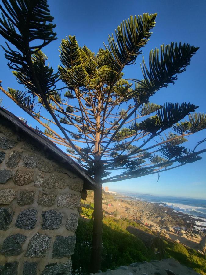 Tiny House * Isla Negra